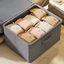Foldable Storage Boxes with Lid for Clothes & Accessories